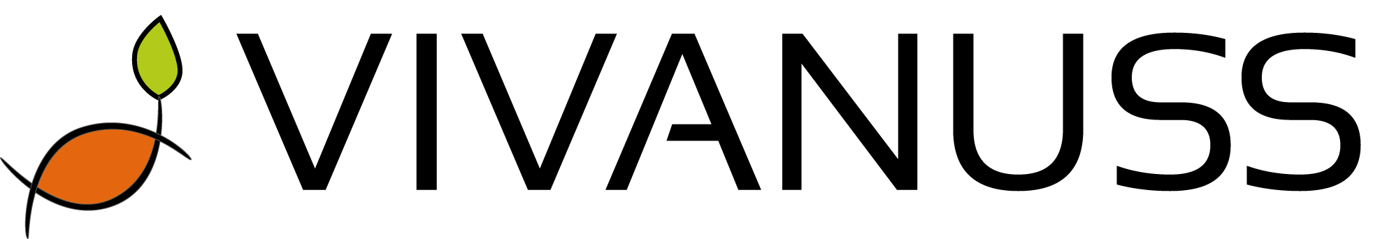 Walnüsse aus Deutschland online kaufen - nachhaltig und gesund